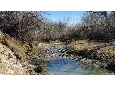 161 Colorado Land & Livestock