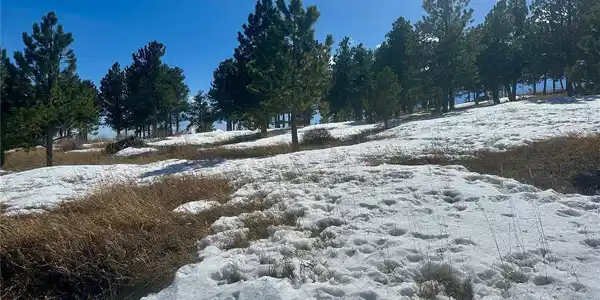 Image 4 Image 4