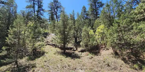 Image 3 Image 3
