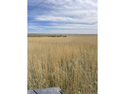 S County Road 137