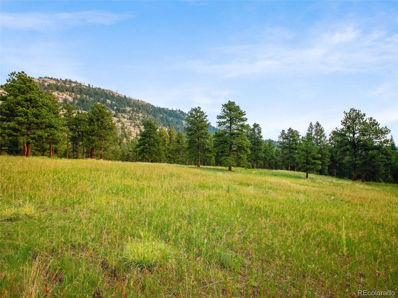 Image 3: Flat, open meadow Image 3: Flat, open meadow