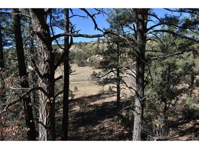 268 RANCHO LA GARITA FILING NO-8,