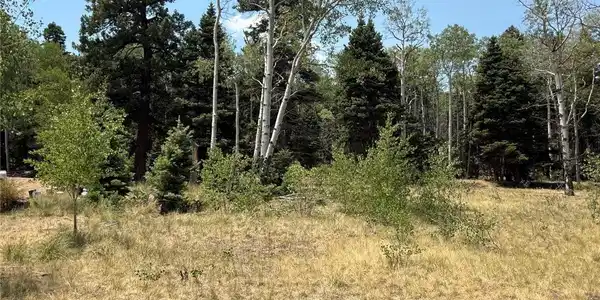 Image 3 Image 3