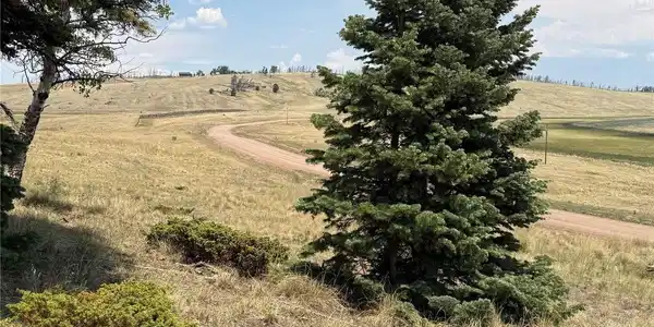Image 4 Image 4