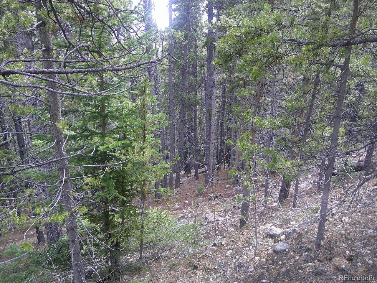 Image 1 Image 1