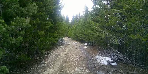 Image 4 Image 4