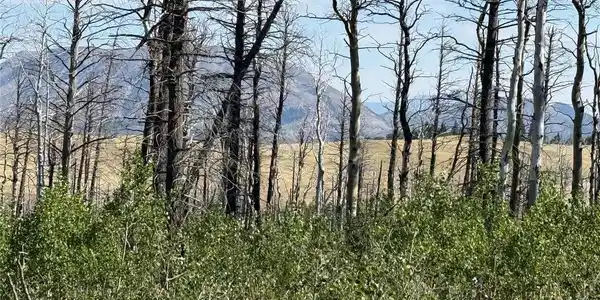 Image 4 Image 4