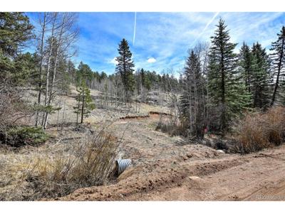 926 W Bison Creek