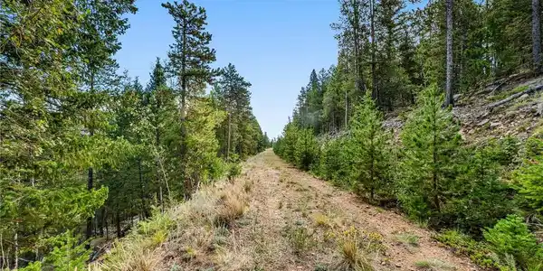 Image 3: Gray Wolf Trail - Access Image 3: Gray Wolf Trail - Access
