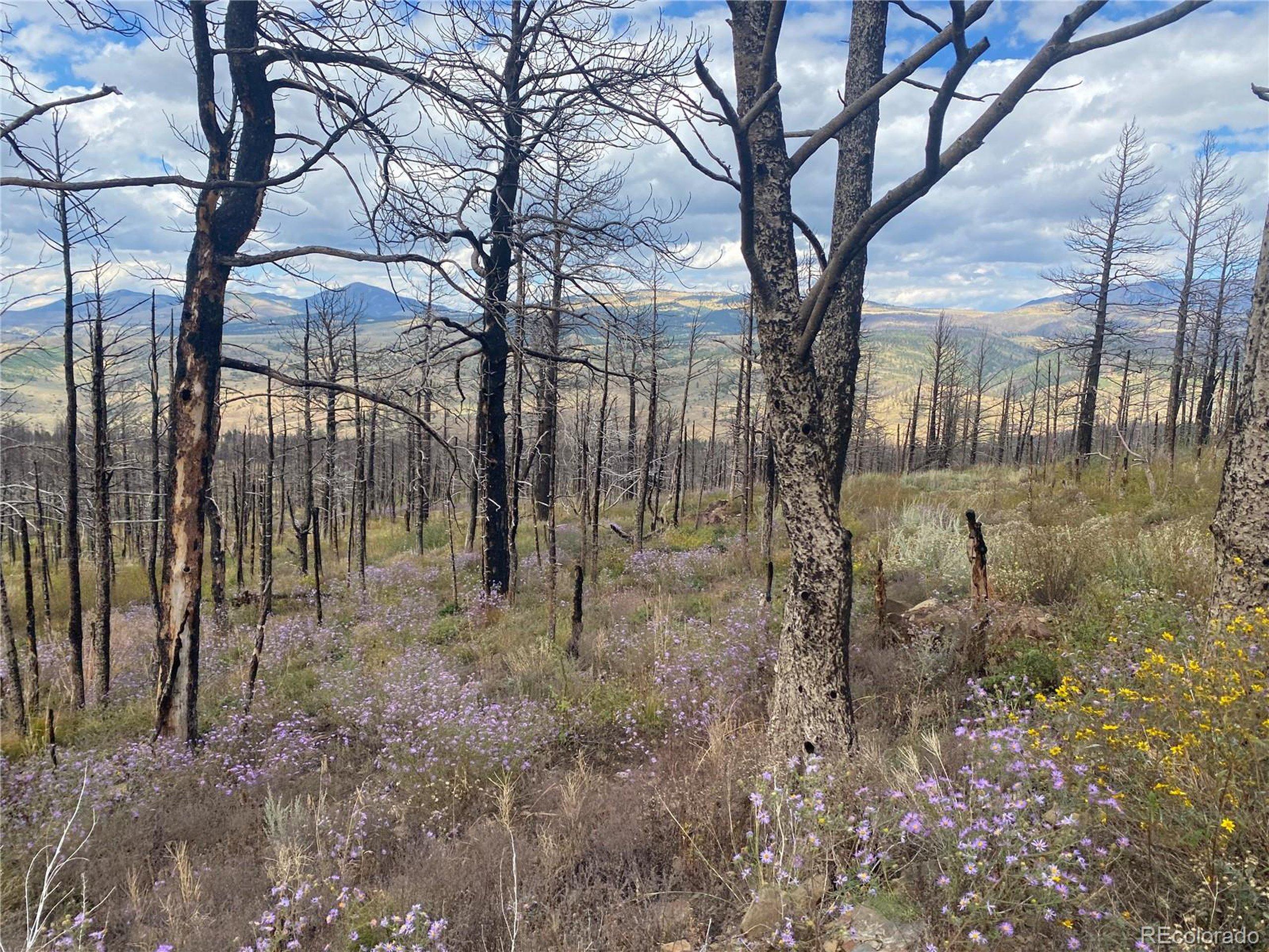 Image 1 Image 1