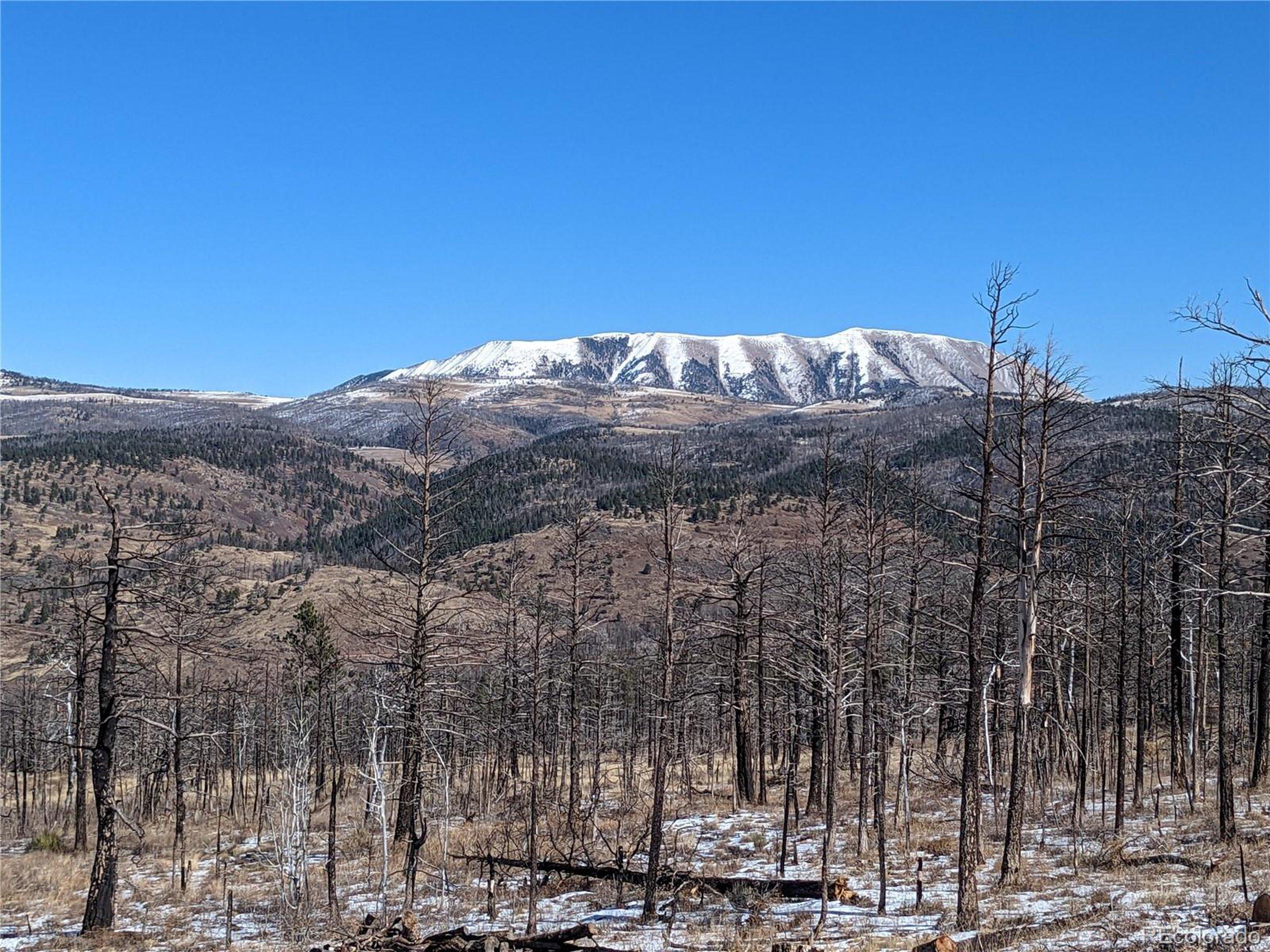 Image 4 Image 4
