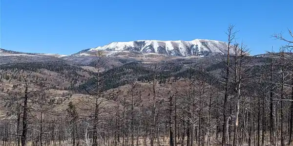 Image 4 Image 4