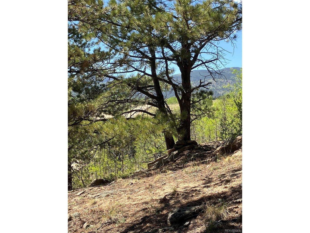 Image 2: Walking Trail Image 2: Walking Trail