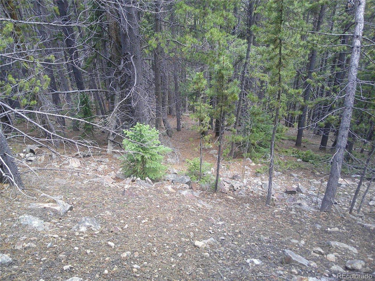 Image 3 Image 3