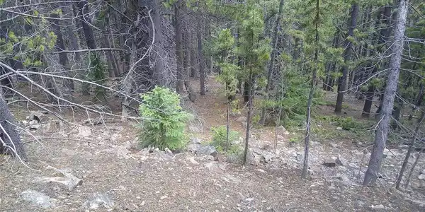 Image 3 Image 3