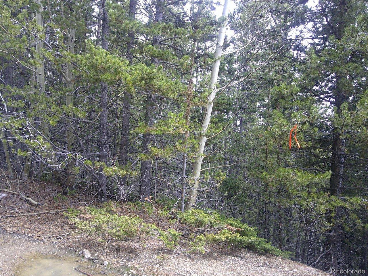 Image 4 Image 4