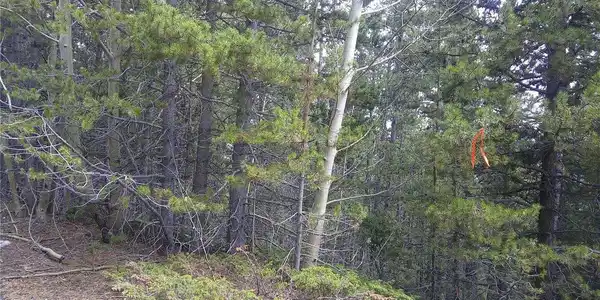 Image 4 Image 4