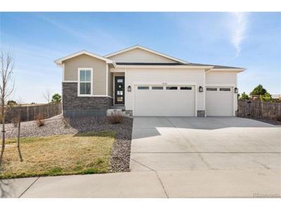 4020 Castle Vista Ln