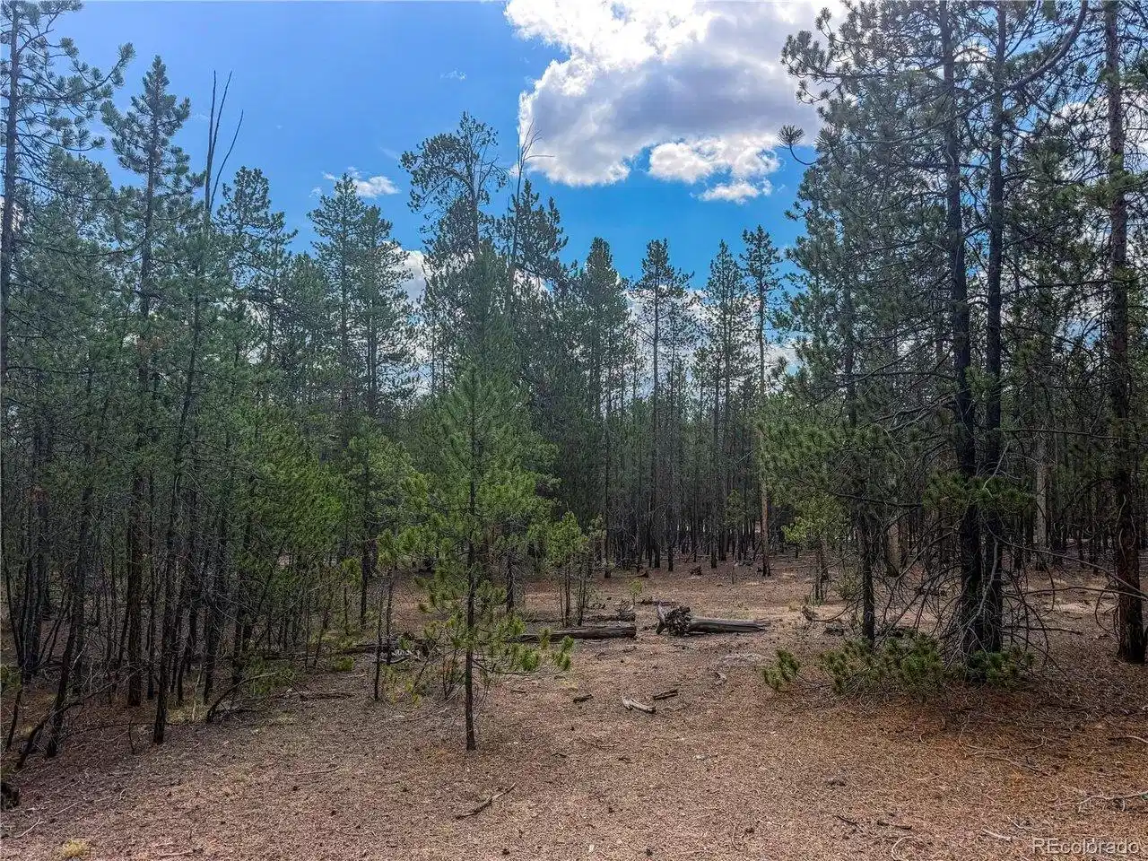 Image 1 Image 1