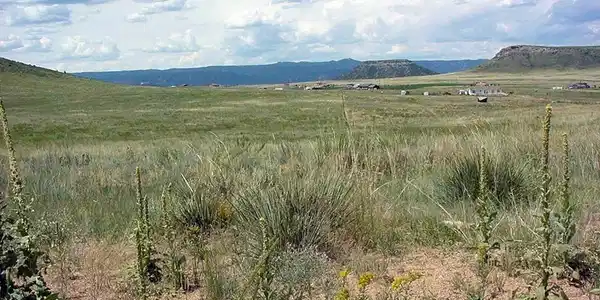 Image 3: Views