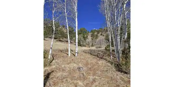 Image 3 Image 3