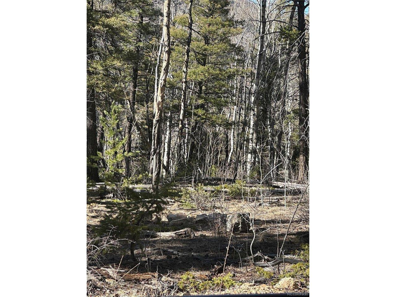 Image 3 Image 3