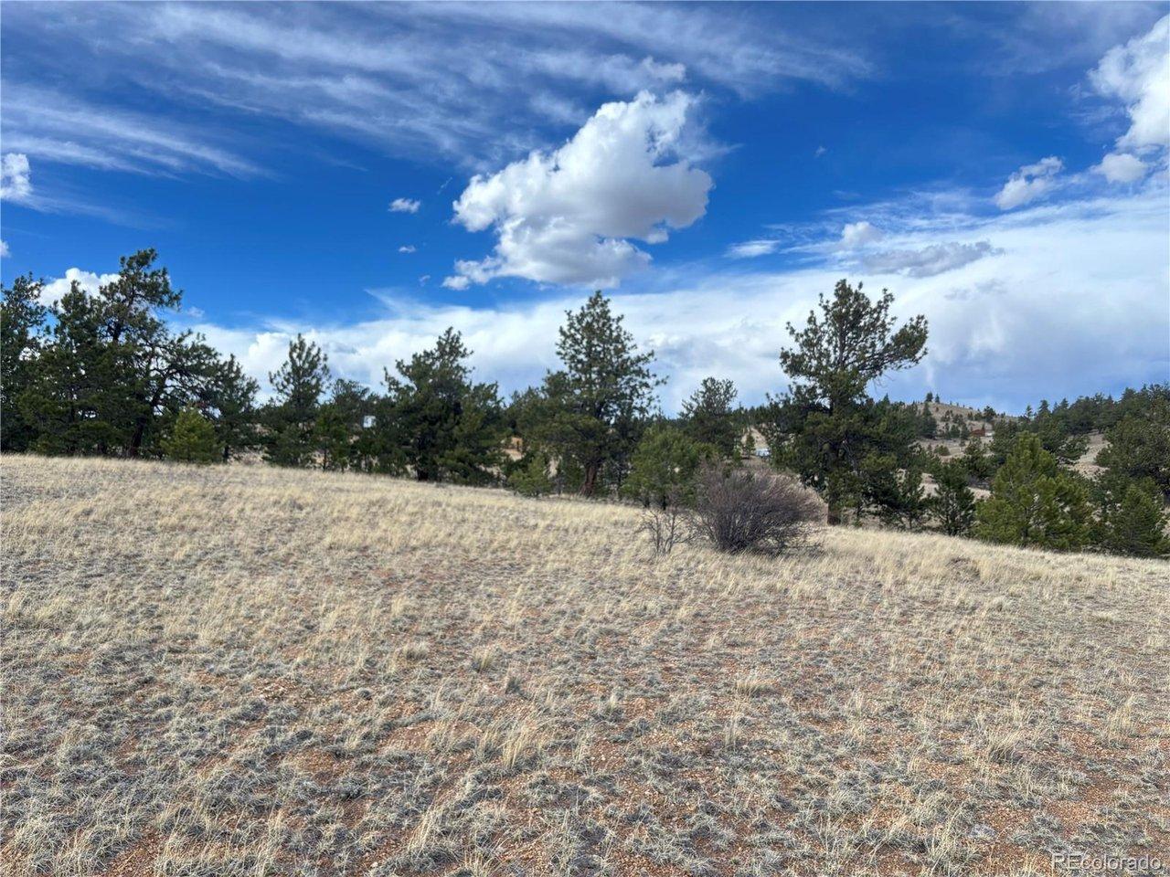 Image 4 Image 4