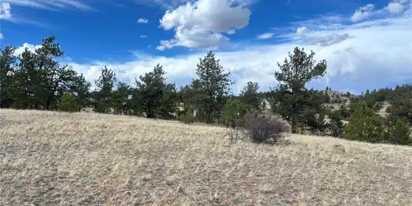 Image 4 Image 4