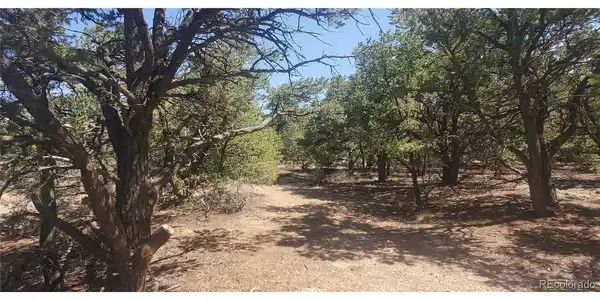 Image 3 Image 3