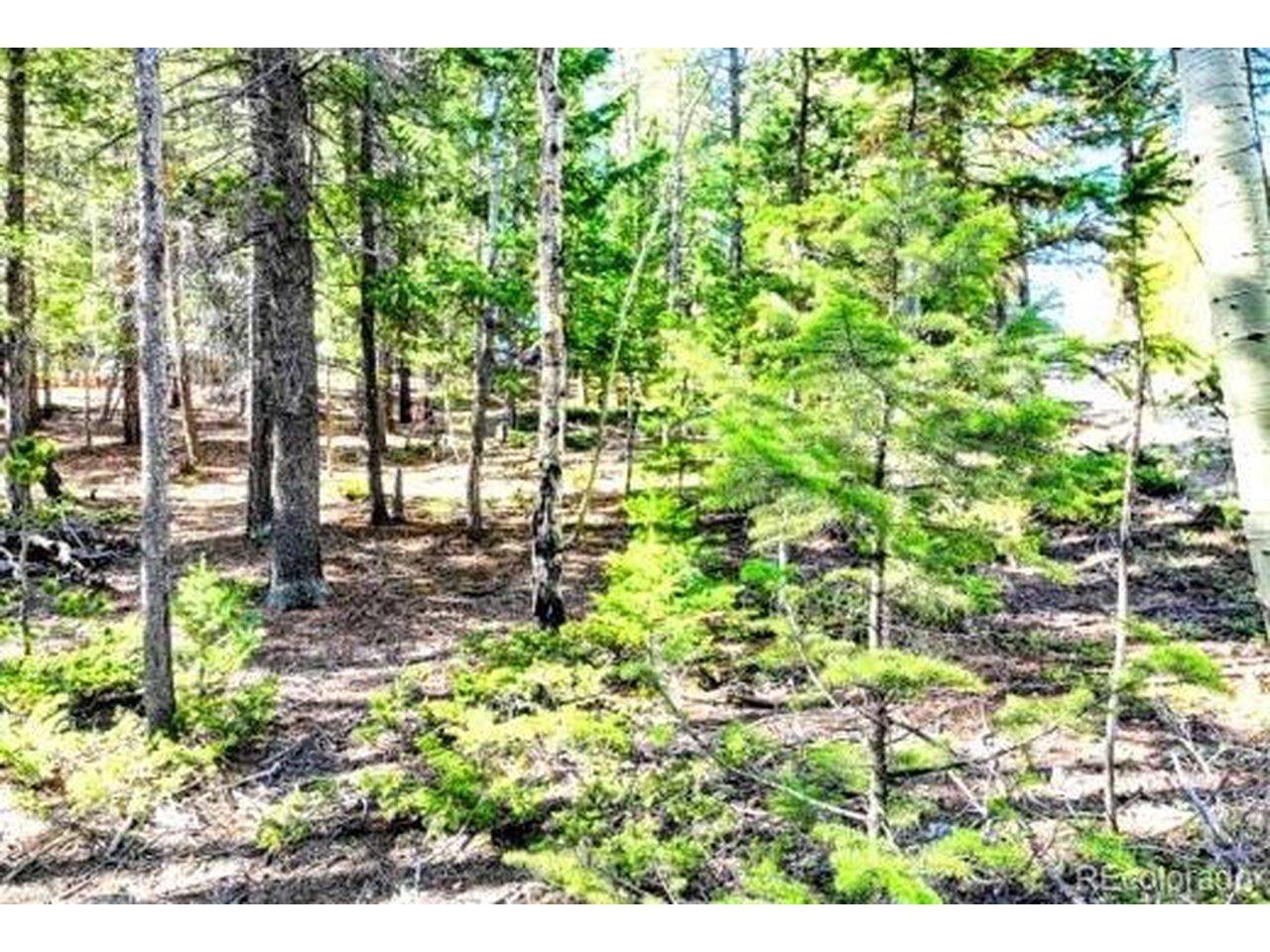 Image 3 Image 3