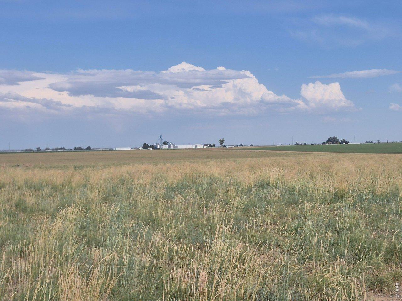 Image 4: View to the East
