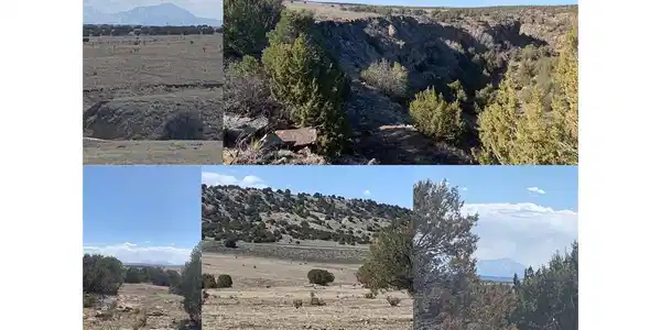 Image 2 Image 2