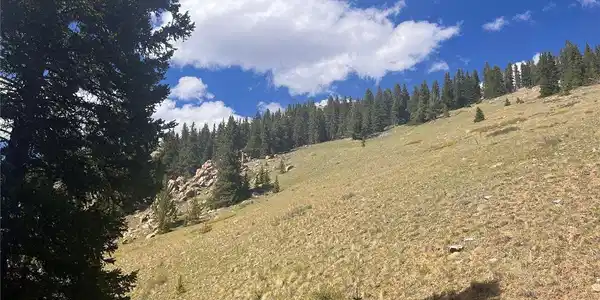 Image 4 Image 4