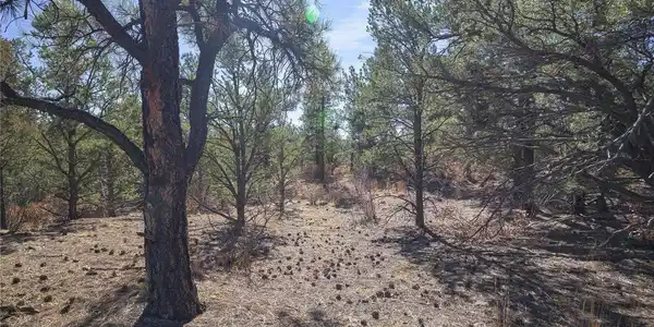 Image 4 Image 4