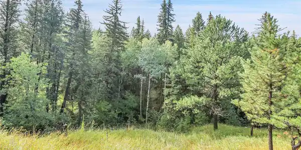 Image 4 Image 4