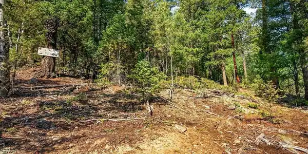 Image 3: Welcome to 12907 S. Cindy Ave. Your Mountain Escape Awaits! Image 3: Welcome to 12907 S. Cindy Ave. Your Mountain Escape Awaits!