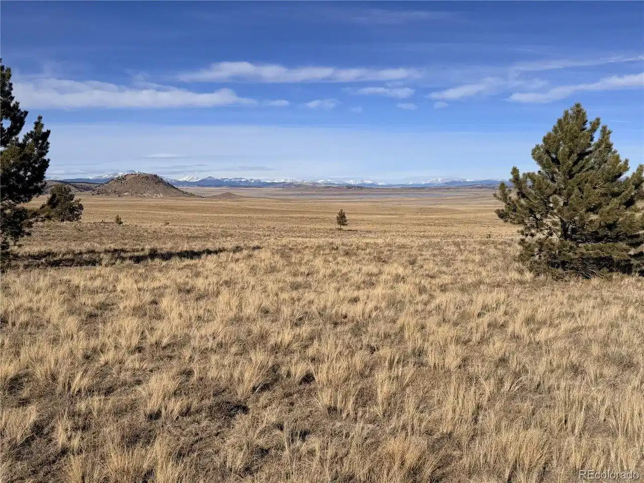 Image 1: Perfect 3 acre lot