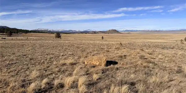 Image 2: Perfect 3 acre lot