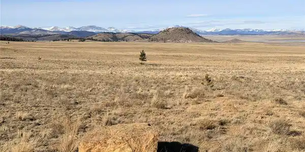 Image 4: Perfect 3 acre lot