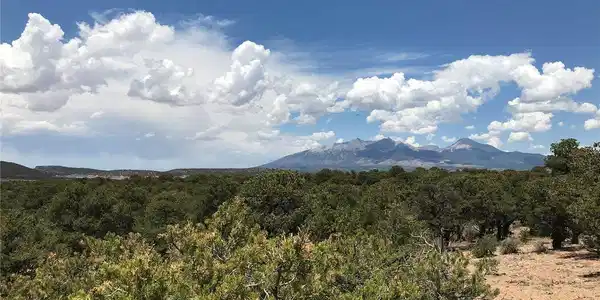 Image 4 Image 4