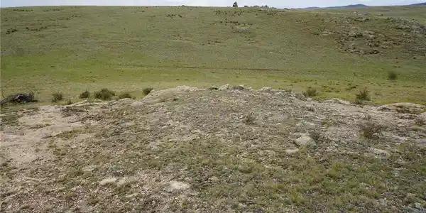 Image 4 Image 4