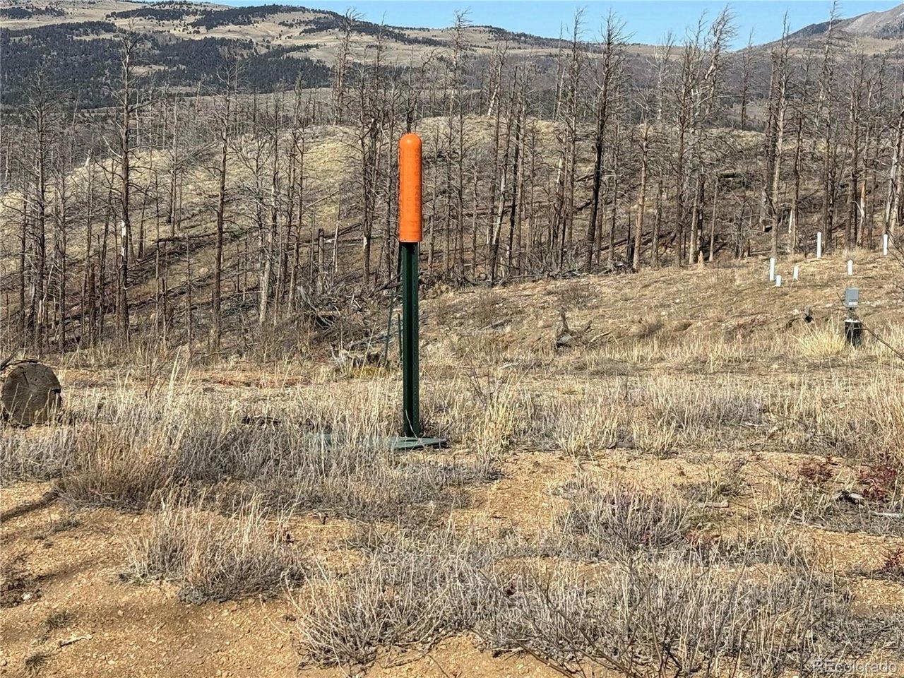 Image 2: Fiber at th