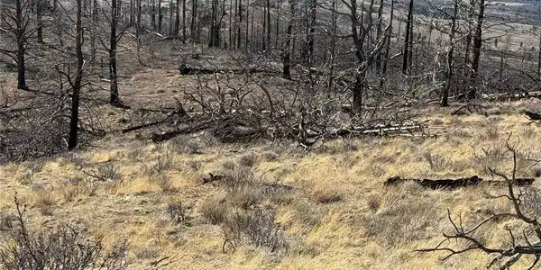 Image 4 Image 4