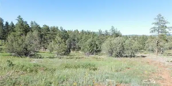 Image 4 Image 4