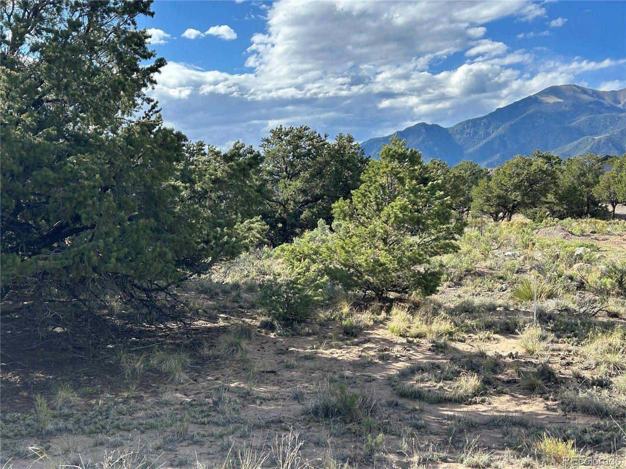 Image 1: View looking North Image 1: View looking North