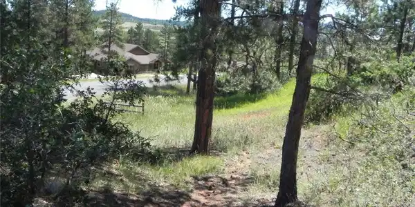 Image 4 Image 4