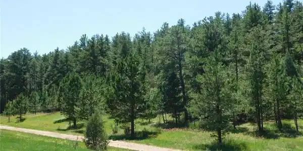 Image 2 Image 2