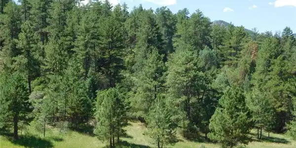 Image 3 Image 3