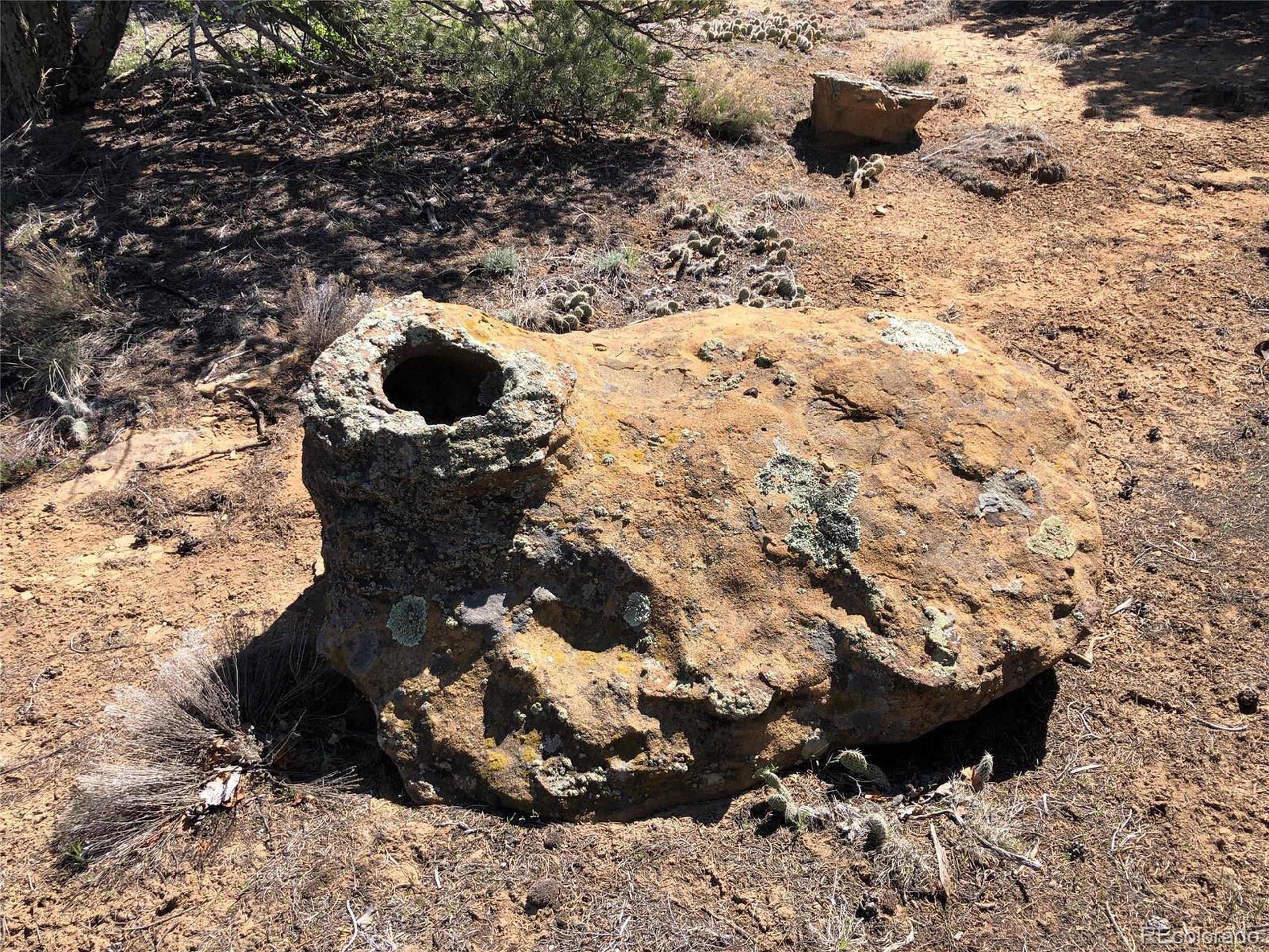 Image 4 Image 4