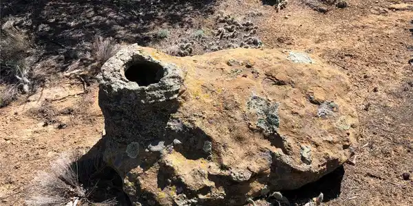 Image 4 Image 4